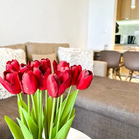 Apartment - Sunny - 892 Durres